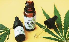Regular Activity Recovery Accelerates With CBD Oil Enhancing Bodywide Relaxation